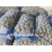 ail frais de Jinxiang emballé dans le sac de 20kg /